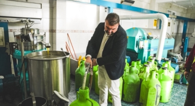 Seferihisar Belediyesi Zeytinyağı Fabrikası üreticiye can olmaya devam ediyor