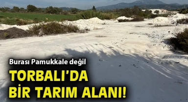 Torbalı’da Toprak İsyanı: Vatandaşlar Başkan Övünç Demir’e Sesleniyor