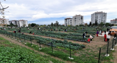 Bornova’da Kent Bostanlarında büyük hasat coşkusu
