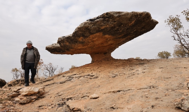 Diyarbakır’da buzul çağ kalıntısı: Tam 6 milyon yıl önceye ait
