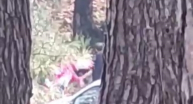 İzmir’de bir kadın ormanlık alanda darbedildi