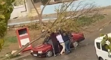 İzmir'de park halindeki otomobilin üzerine ağaç devrildi