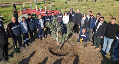 Karşıyaka’da zeytin fidanları toprakla buluştu