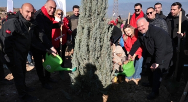 Menemen Belediyesi binlerce fidan dikti
