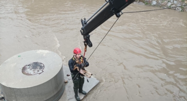 Dereye düşen köpek itfaiye ekipleri tarafından kurtarıldı