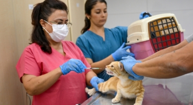 Eros Kedi Kliniği Bornova’da umut merkezi oldu