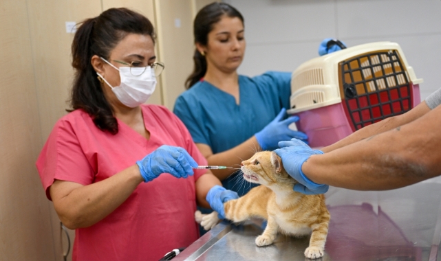 Eros Kedi Kliniği Bornova’da umut merkezi oldu