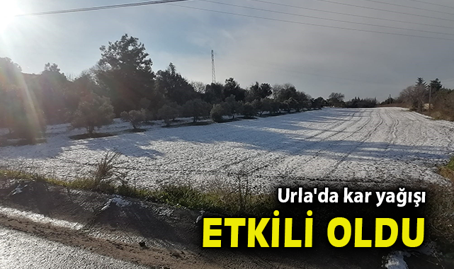 Urla'da kar yağışı etkili oldu
