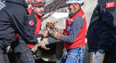 Afetlerde mahsur kalan hayvanlar unutulmayacak