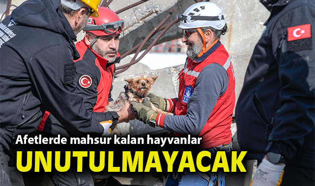 Afetlerde mahsur kalan hayvanlar unutulmayacak