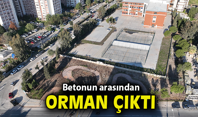 Betonun arasından orman çıktı