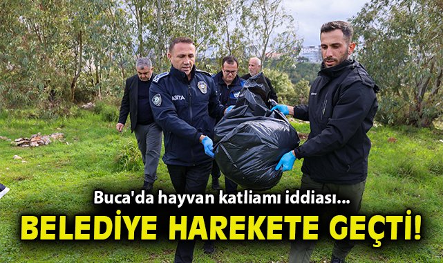 Buca'da hayvan katliamı iddiası... Belediye harekete geçti!