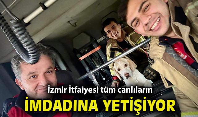 İzmir İtfaiyesi tüm canlıların imdadına yetişiyor