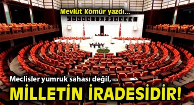 Meclisler yumruk sahası değil, milletin iradesidir!