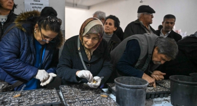 Yerel tohumlar Bornova’da geleceğe umut oluyor