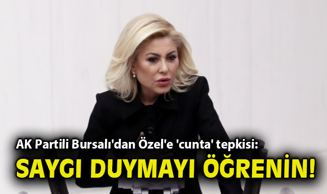 AK Partili Bursalı'dan Özel'e 'cunta' tepkisi: Saygı duymayı öğrenin!