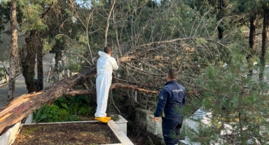 Fırtınadan etkilenen mezarlıklara hızlı müdahale