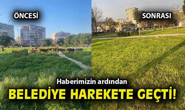 Haberimizin ardından belediye harekete geçti!