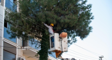 Karşıyaka’da budama seferberliği