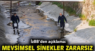 “Mevsimsel sinekler zararsız”