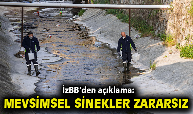 “Mevsimsel sinekler zararsız”