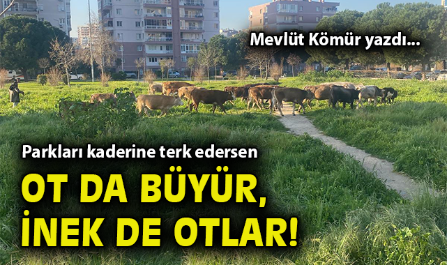 Parkları kaderine terk edersen ot da büyür, inek de otlar!