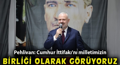 Pehlivan: Cumhur İttifakı'nı milletimizin birliği olarak görüyoruz