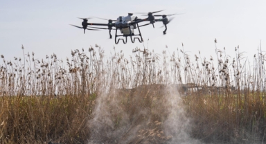 Sivrisinek ve zararlılara karşı İzmir modeli