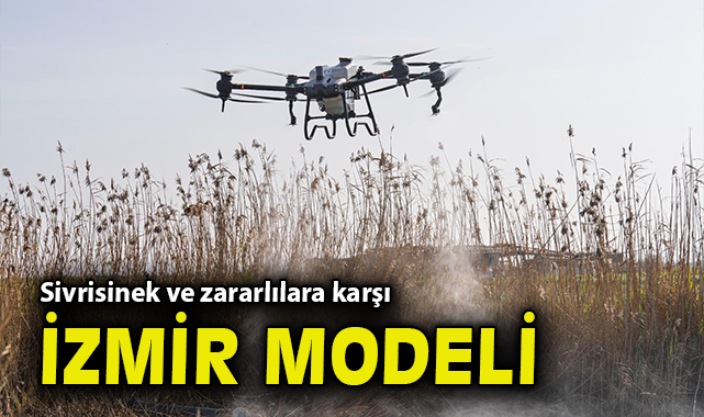 Sivrisinek ve zararlılara karşı İzmir modeli