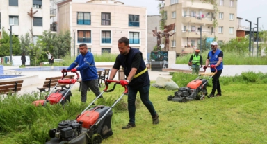 Buca genelinde kapsamlı kosa seferberliği