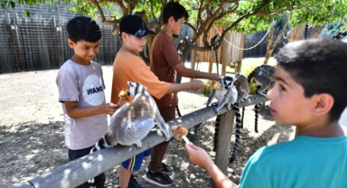 Büyükşehir’den çocuklara bayram hediyesi... Doğal Yaşam Parkı öğrencilere ücretsiz olacak