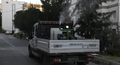 Çiğli’de sivrisinek ve haşerelere karşı etkin önlem