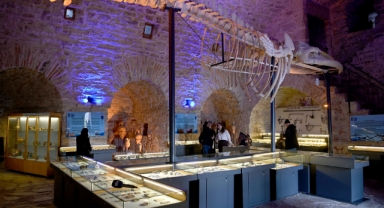 Deniz Ticaret Tarihi Sergi Alanı'na yılın ilk çeyreğinde yoğun ilgi