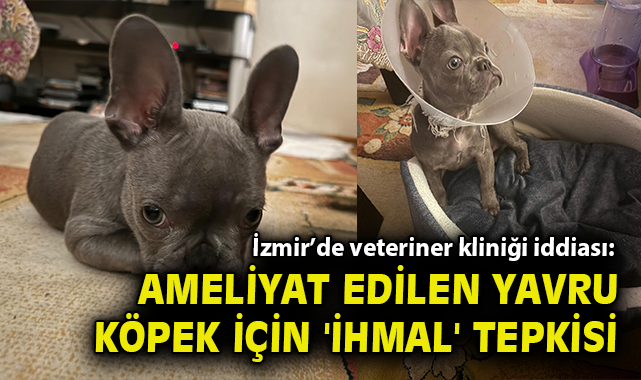 İzmir’de veteriner kliniği iddiası: Ameliyat edilen yavru köpek için 'ihmal' tepkisi