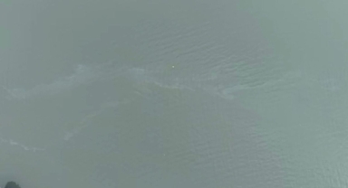 İzmir Körfezi’nde kirlilik alarmı: Aynı tehdit 11. kez görüldü