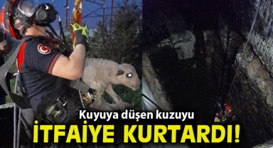 Kuyuya düşen kuzuya itfaiyeden nefes kesen kurtarma