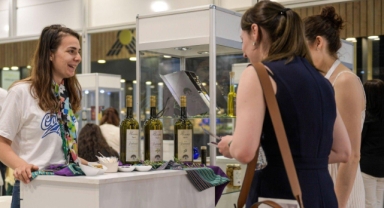 Zeytinin zirvesi İzmir’de kuruluyor