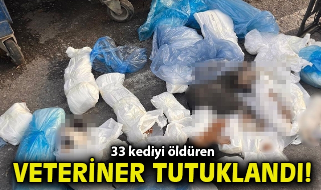 Başsavcılık itiraz etmişti, 33 kediyi öldüren veteriner tutuklandı