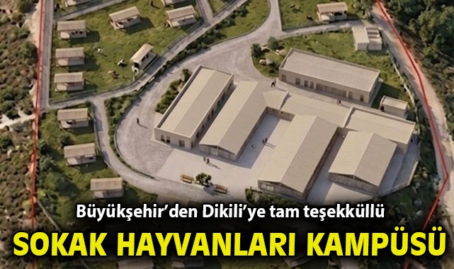 Büyükşehir’den Dikili’ye tam teşekküllü sokak hayvanları kampüsü
