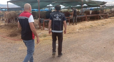 Çiğli’de Kurban Bayramı Denetimleri Aralıksız Sürüyor