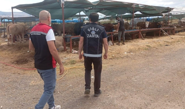 Çiğli’de Kurban Bayramı Denetimleri Aralıksız Sürüyor
