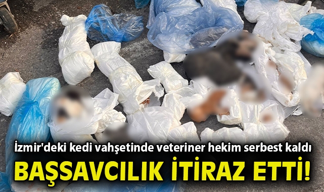 İzmir'deki kedi vahşetinde veteriner hekim serbest kaldı, başsavcılık itiraz etti