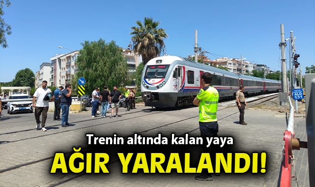 Trenin altında kalan yaya ağır yaralandı