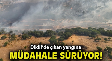 Dikili’de otluk ve zeytinlik alanda çıkan yangına müdahale sürüyor