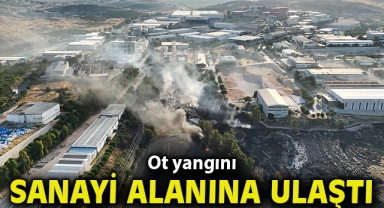 Ot yangını sanayi alanına ulaştı