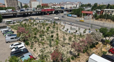Eski Benzinlik yeşile dönüştü