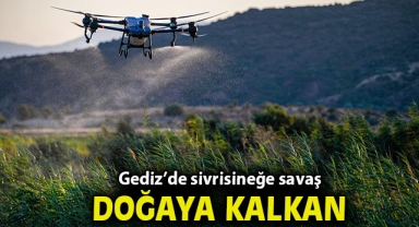 Gediz’de sivrisineğe savaş, doğaya kalkan