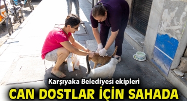 Karşıyaka Belediyesi ekipleri can dostlar için sahada