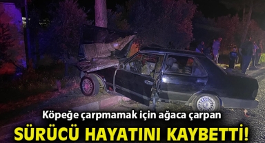 Köpeğe çarpmamak için ağaca çarpan sürücü hayatını kaybettti