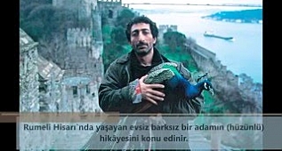 İzlenmesi gereken en iyi 20 Türk filmi!